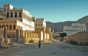 اباضيّو حضرموت: من الحضور البارزْ حتّى الزوال الخافتْ.. قراءةٌ في النموِّ والأفول