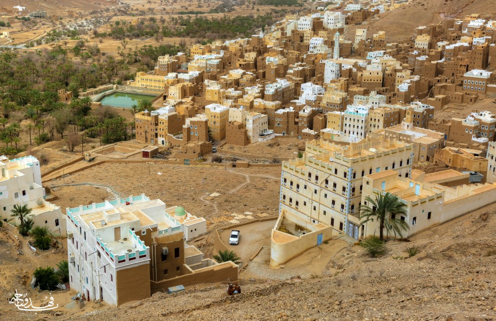 صوفيُّ حضرموت.. الراعي المُعلّم